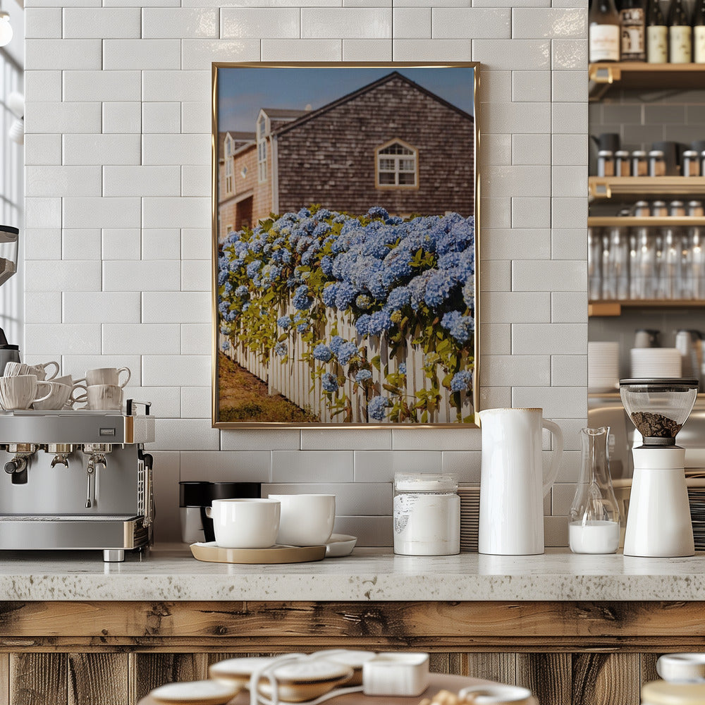 Cannon Beach Hydrangeas Poster