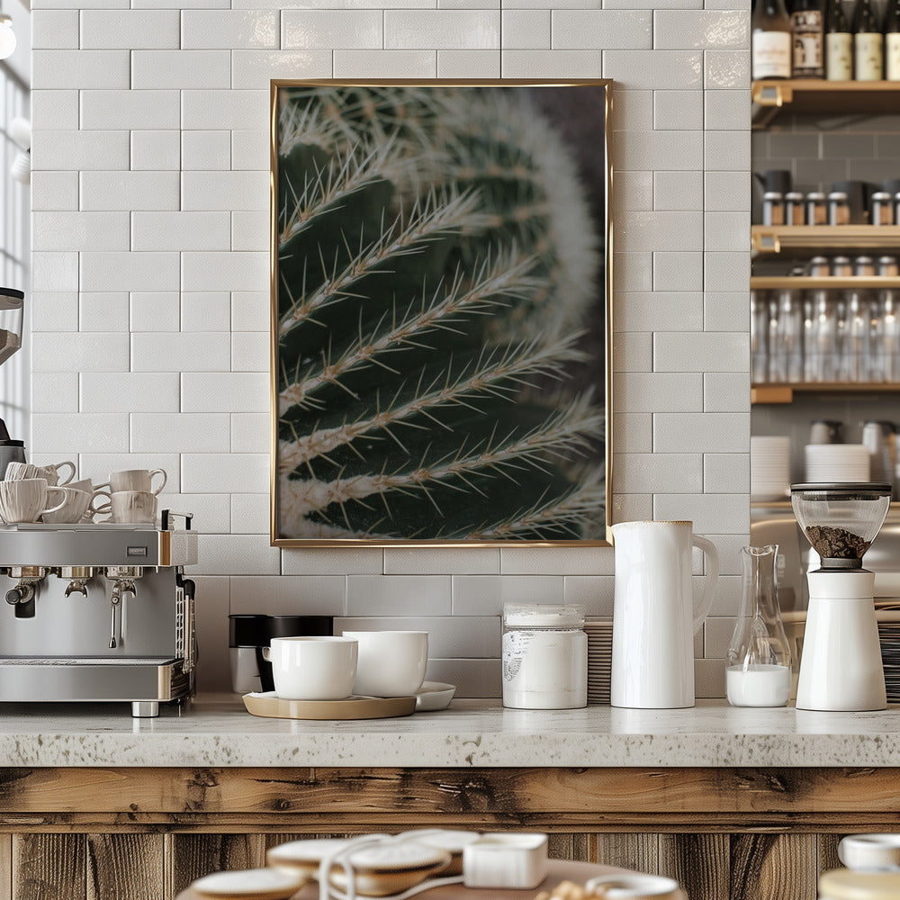Cactus II Poster