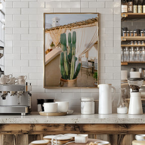 Rooftop Cactus | Morocco Travel Photography Poster