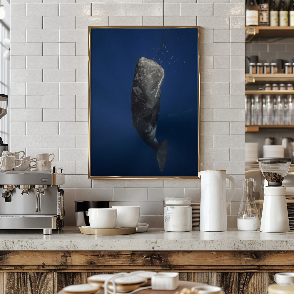 Candle sperm whale Poster