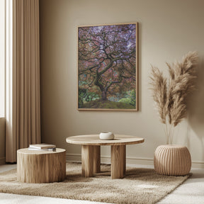 Japanese Maple Tree Poster