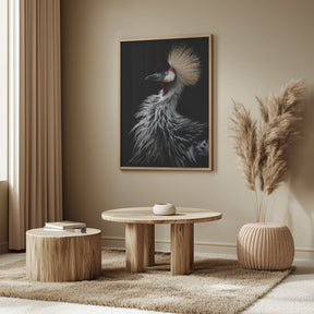 Crowned crane's portrait Poster