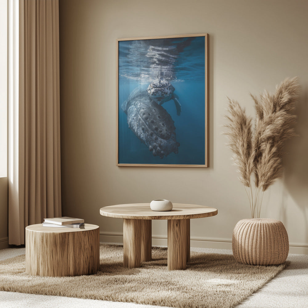 Humpback whale and calf Poster