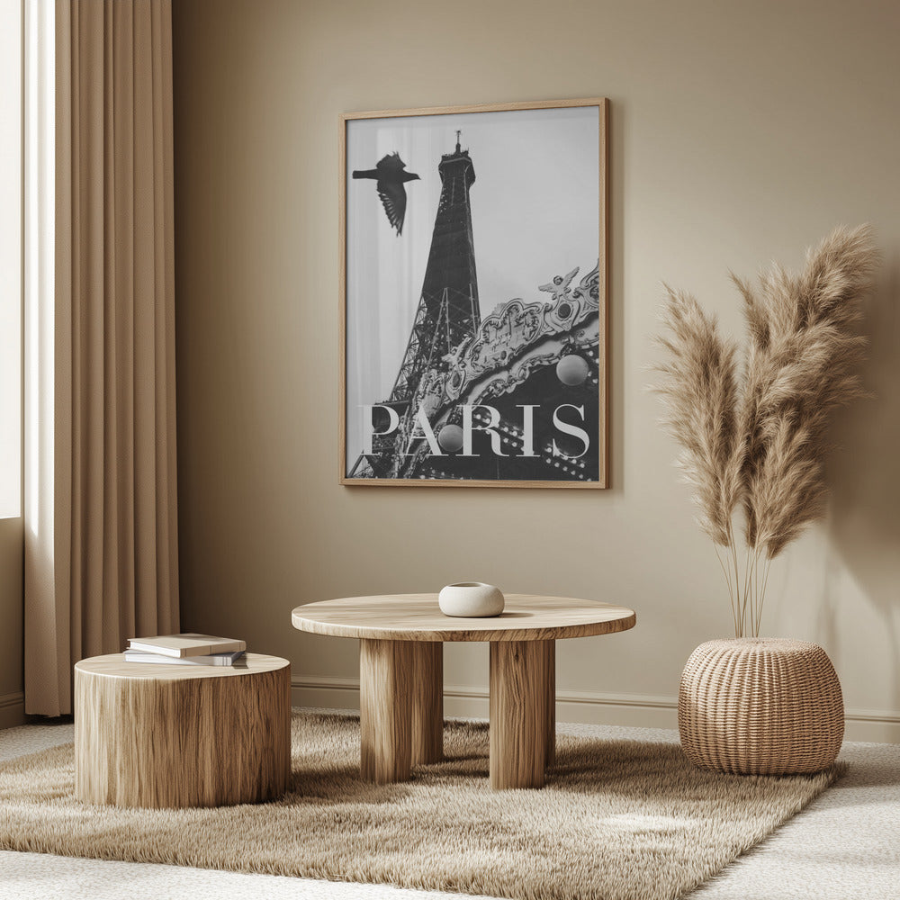 Paris Dove Poster