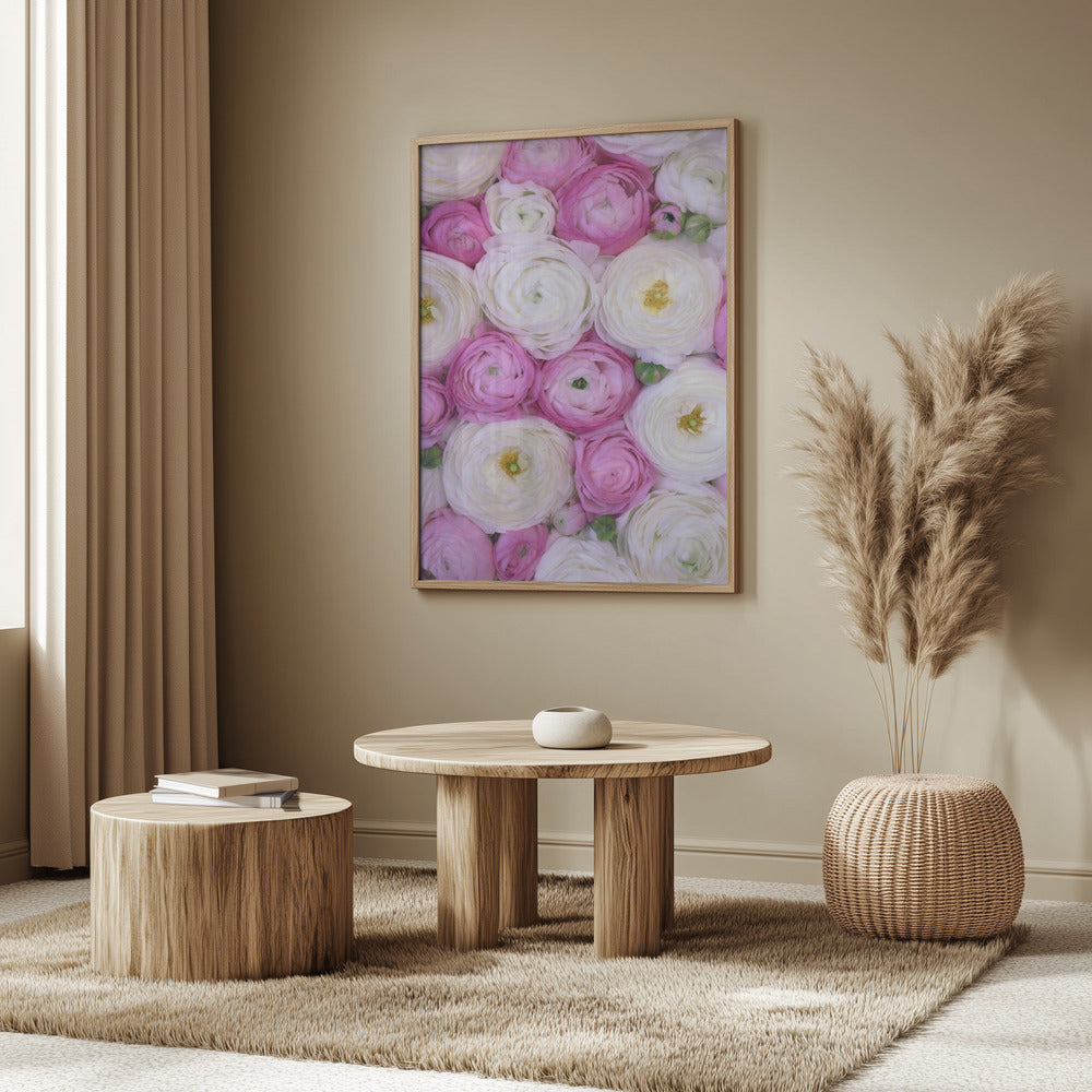 Scattered ranunculus in pink I Poster