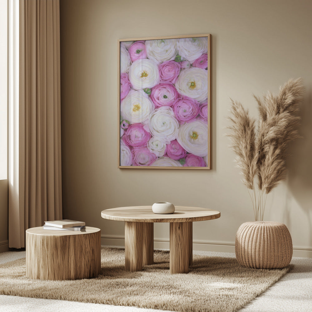 Scattered ranunculus in pink II Poster