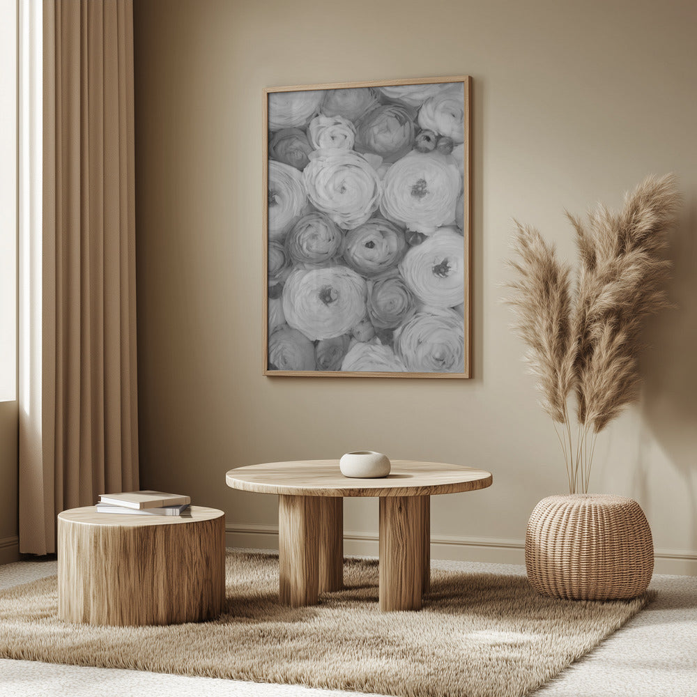 Scattered ranunculus grayscale II Poster