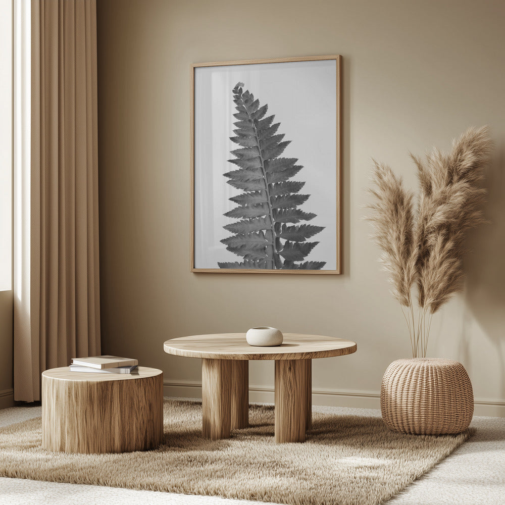 Gray fern leaf Poster