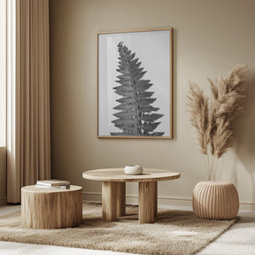 Gray fern leaf Poster