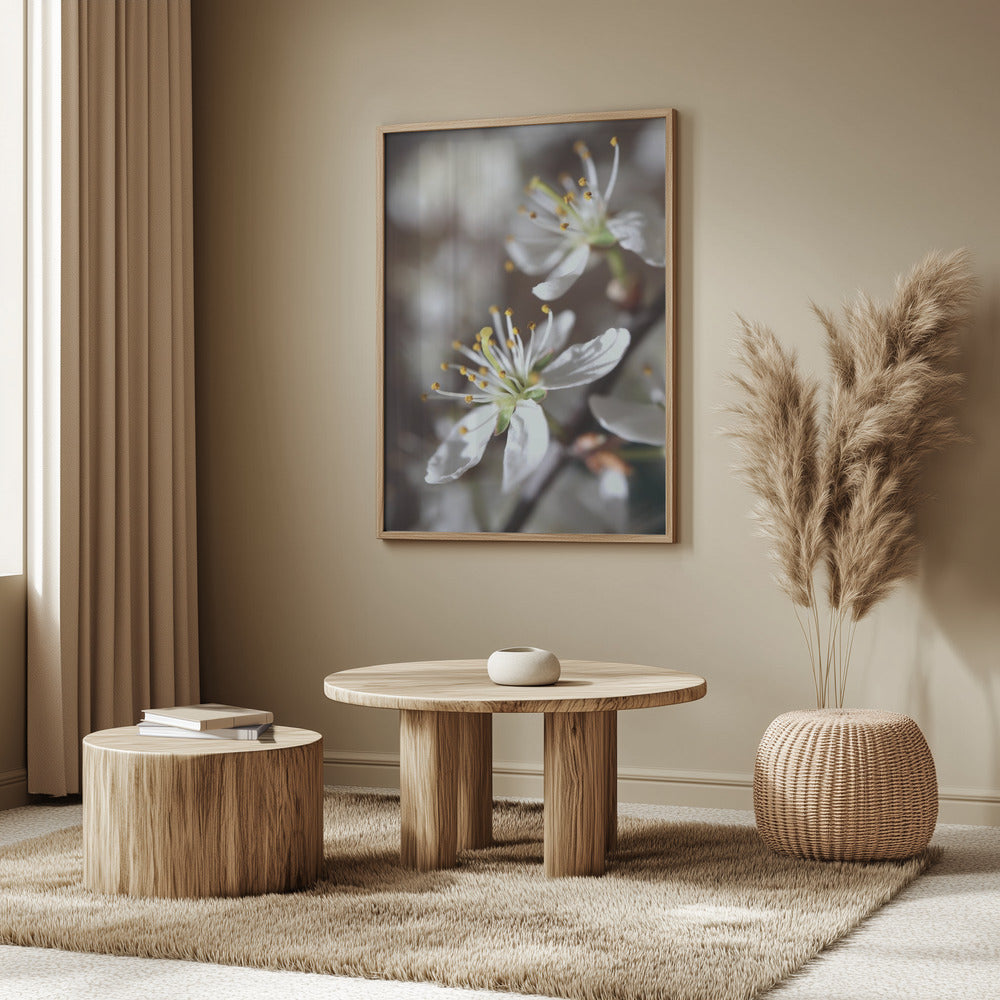 Spring blooms I Poster