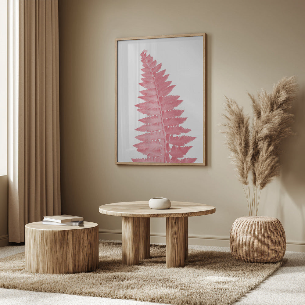 Pink fern leaf Poster