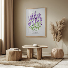 Lavender I Poster