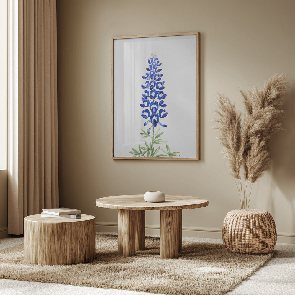 Watercolor Texas bluebonnet Poster