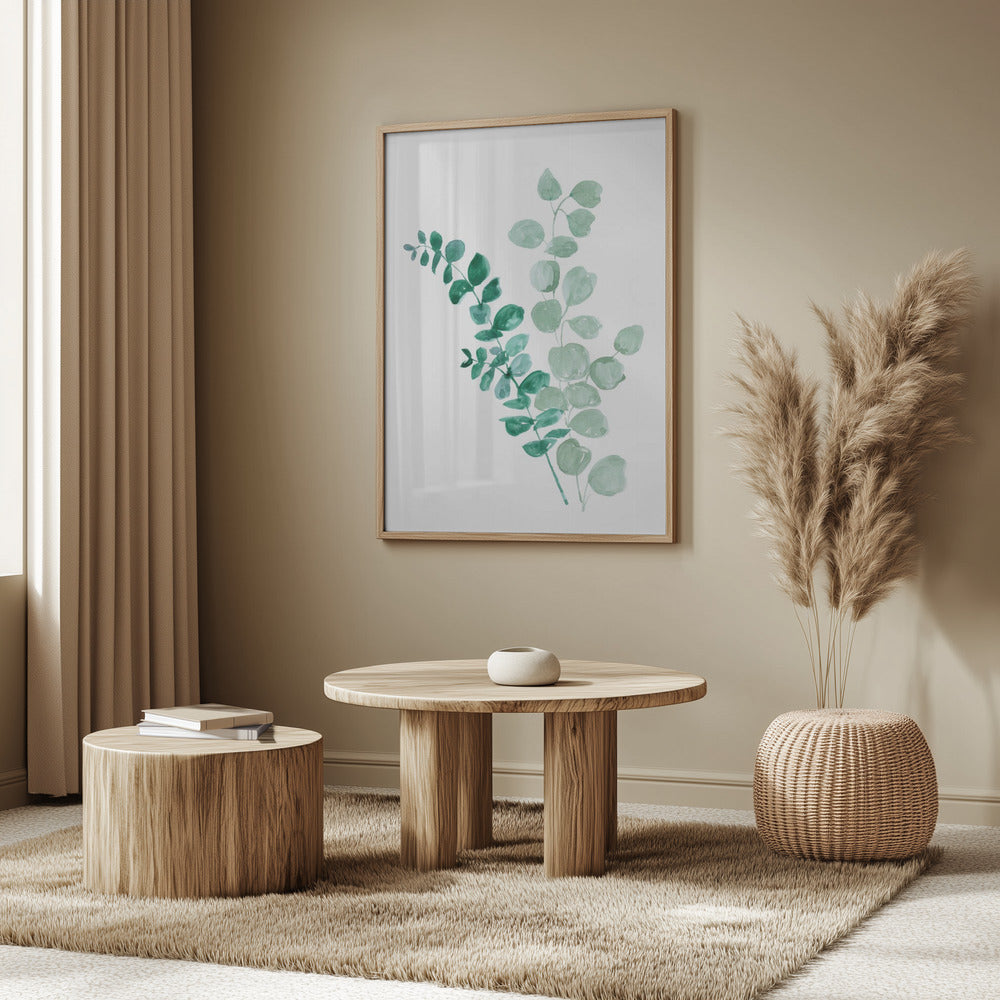 Two eucalyptus branches Poster