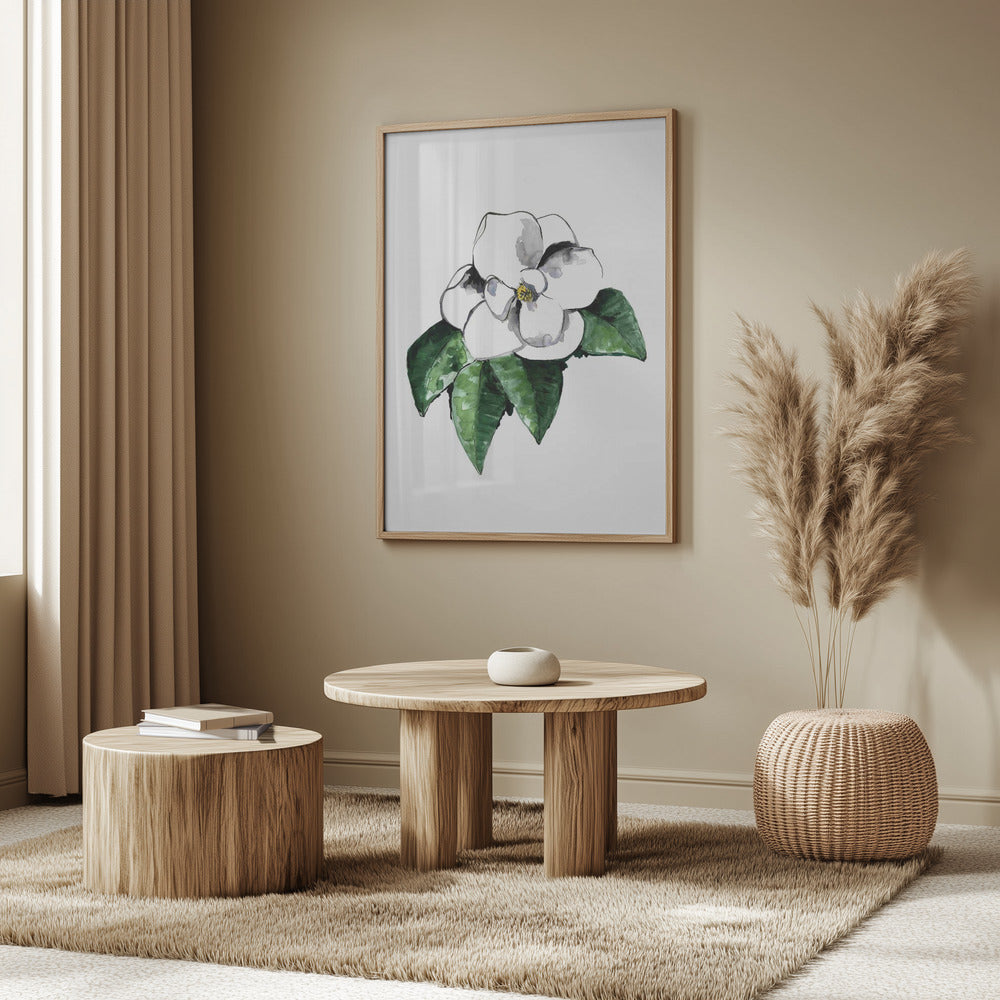 White magnolia Poster