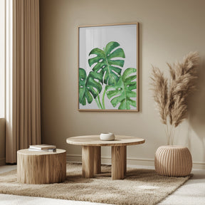 Monstera leaves in loose watercolor Poster