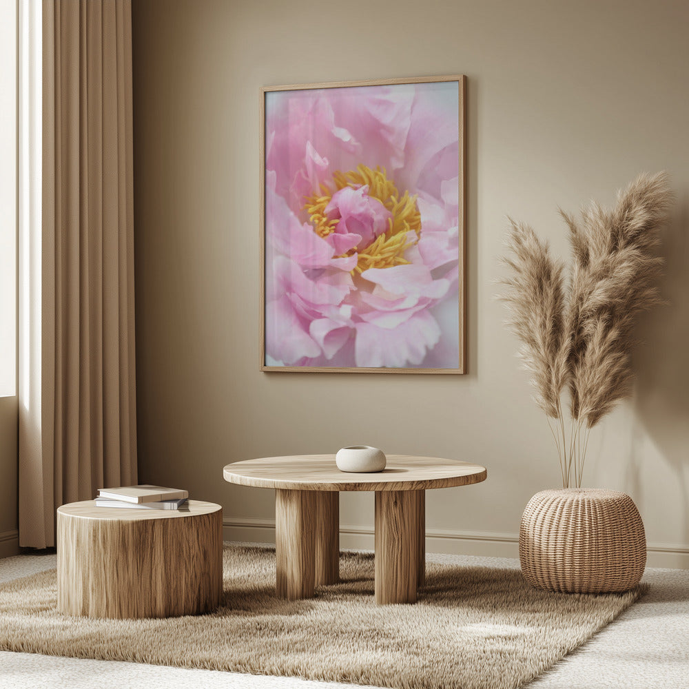 Pink peony I Poster