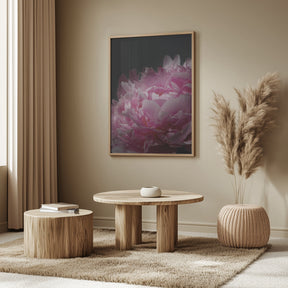 Moody pink peony I Poster