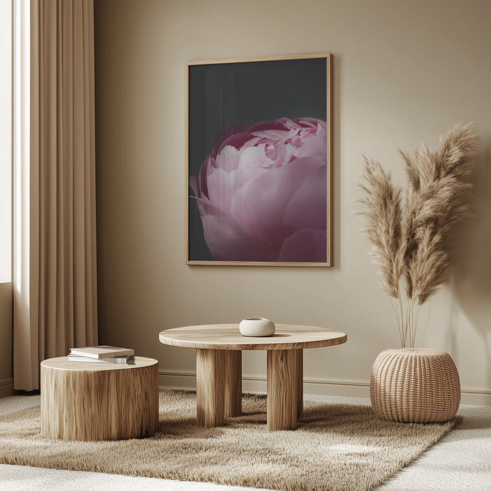 Moody pink peony II Poster