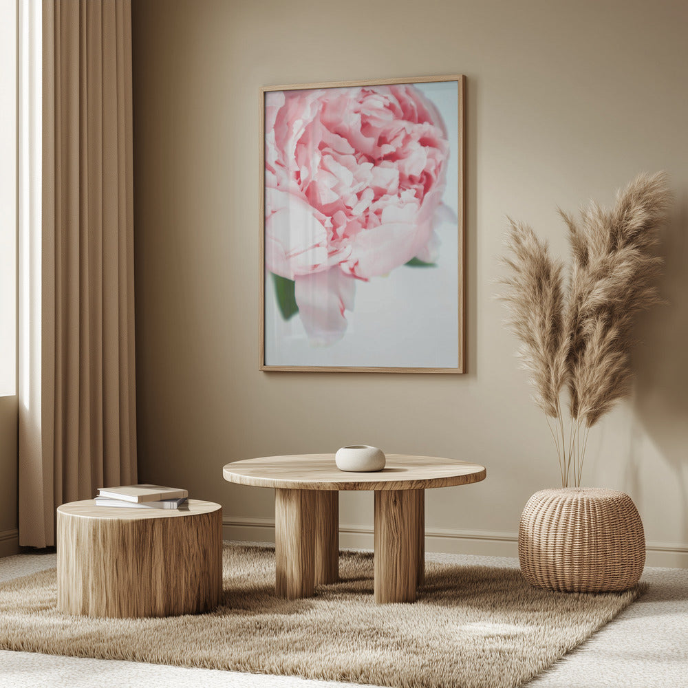 Blush peony VII Poster