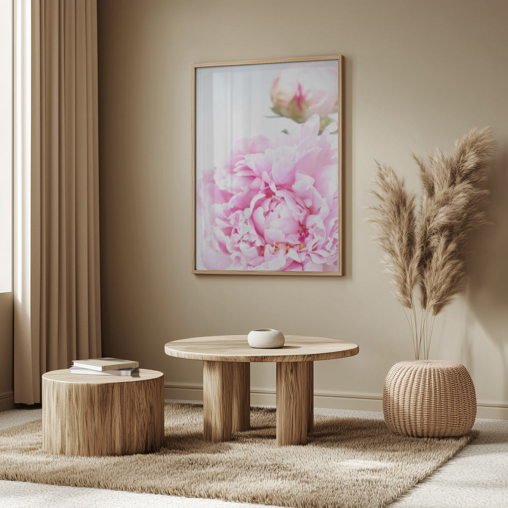 Pink peony IX Poster