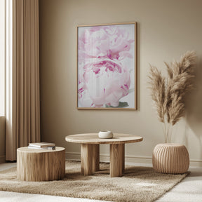 Subdued peony X Poster