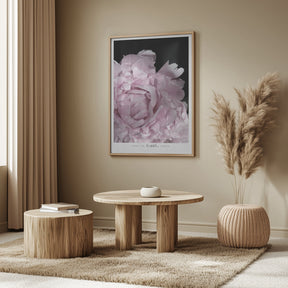 Enjoy the little things peony Poster