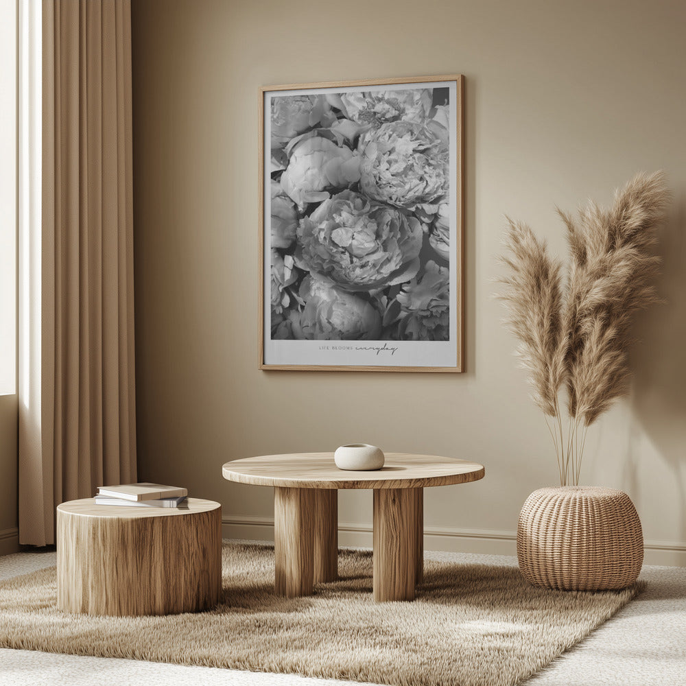 Life blooms everyday peonies bw Poster