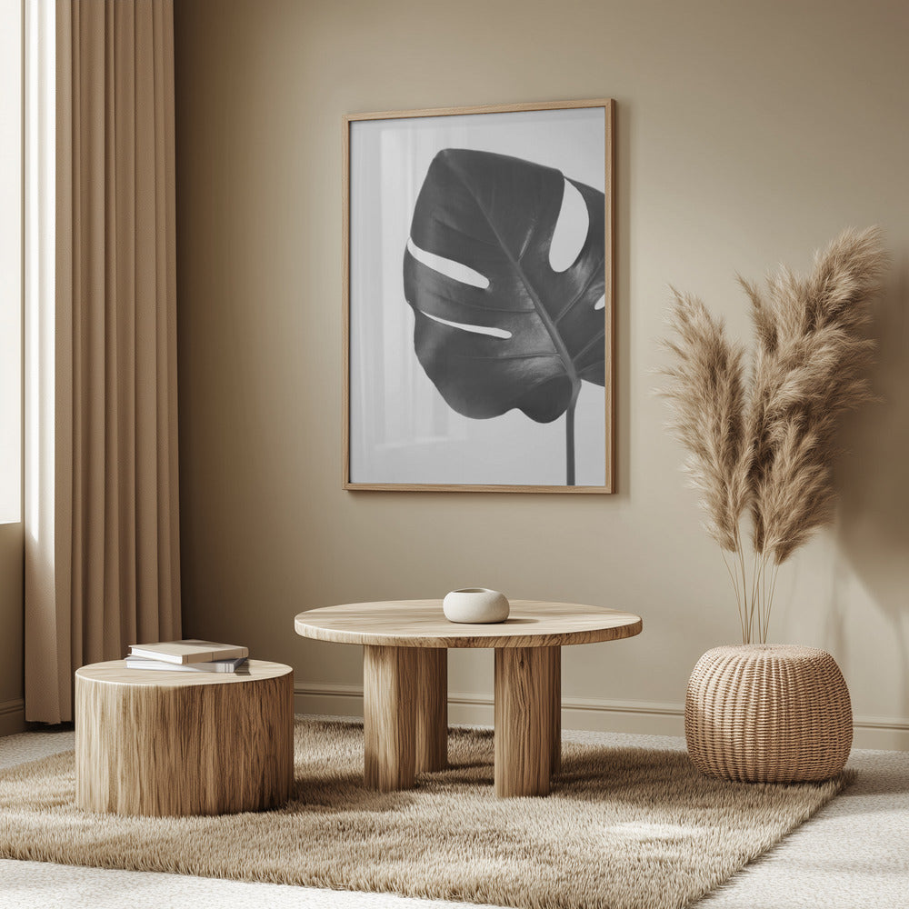 Gray monstera leaf Poster