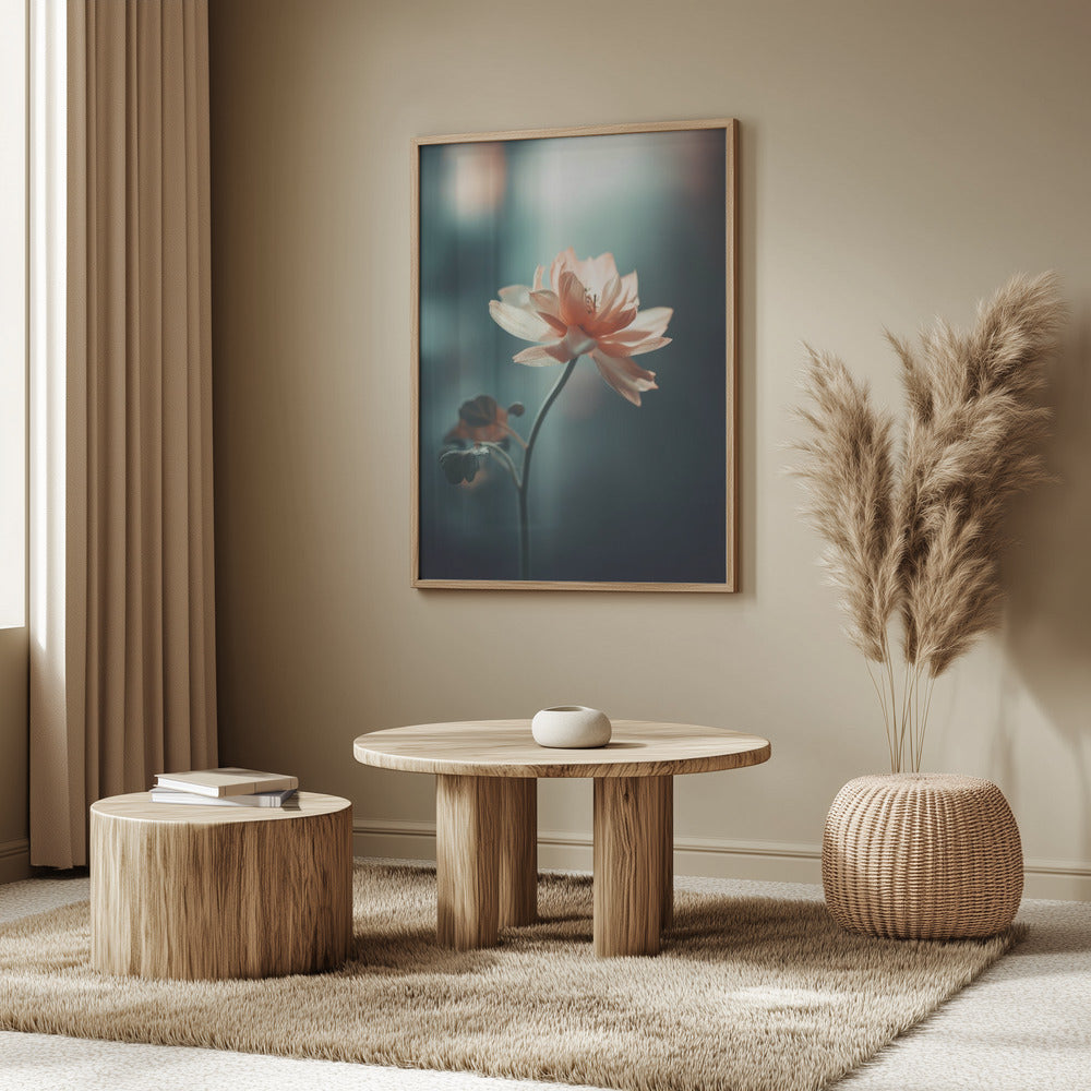 Coral Flowers At Night Poster