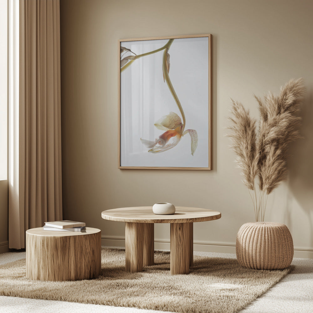 Arch Angle No1 Poster