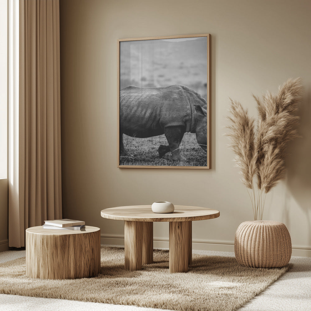 Black Rhino Poster