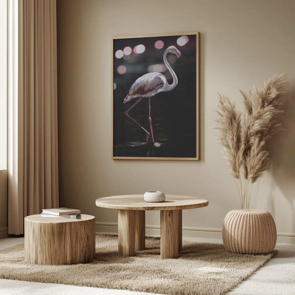 Dancing Flamingo Poster