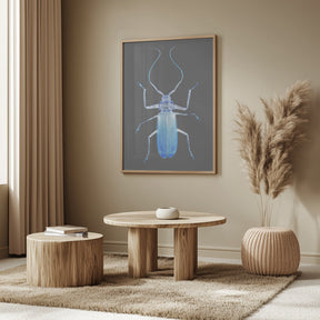 Insect Evolution Poster