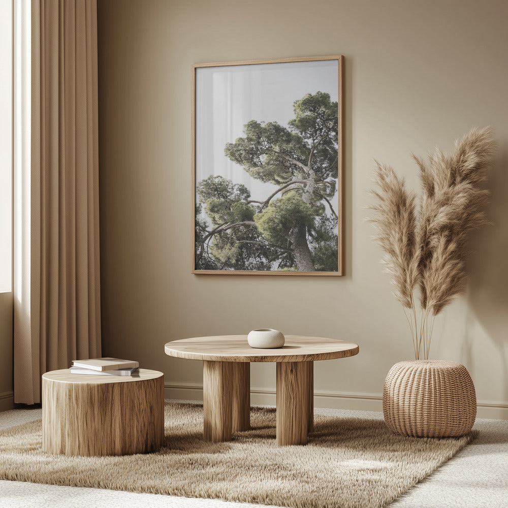 Japanese Garden 01 Poster