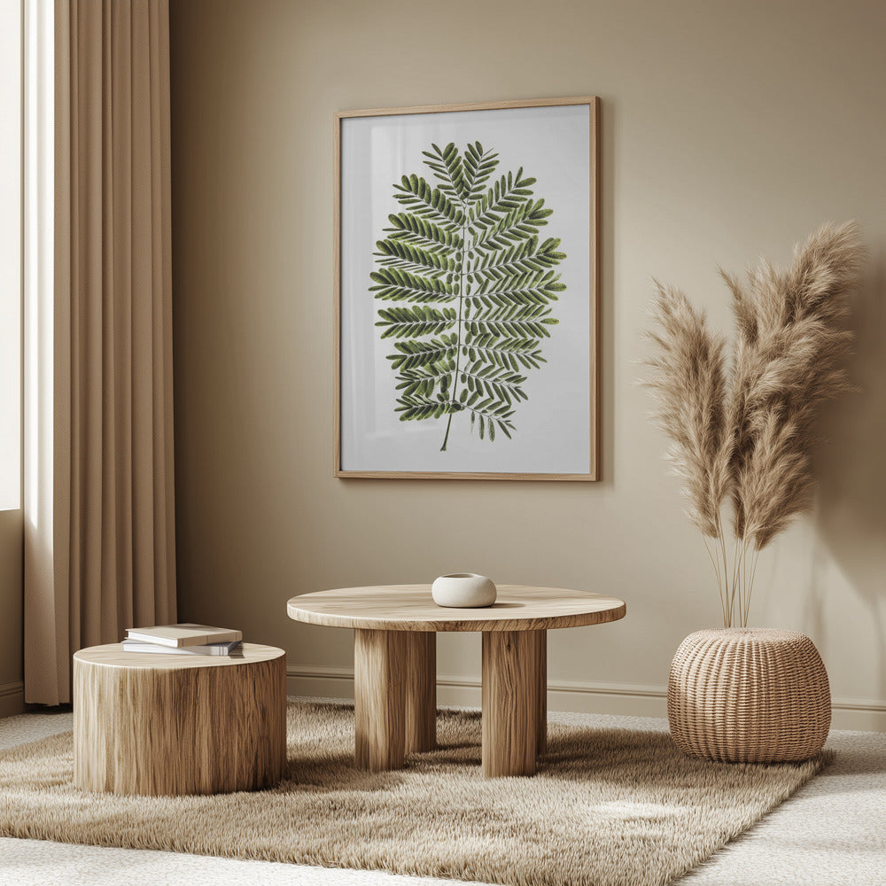 Leaf Study 02 Poster