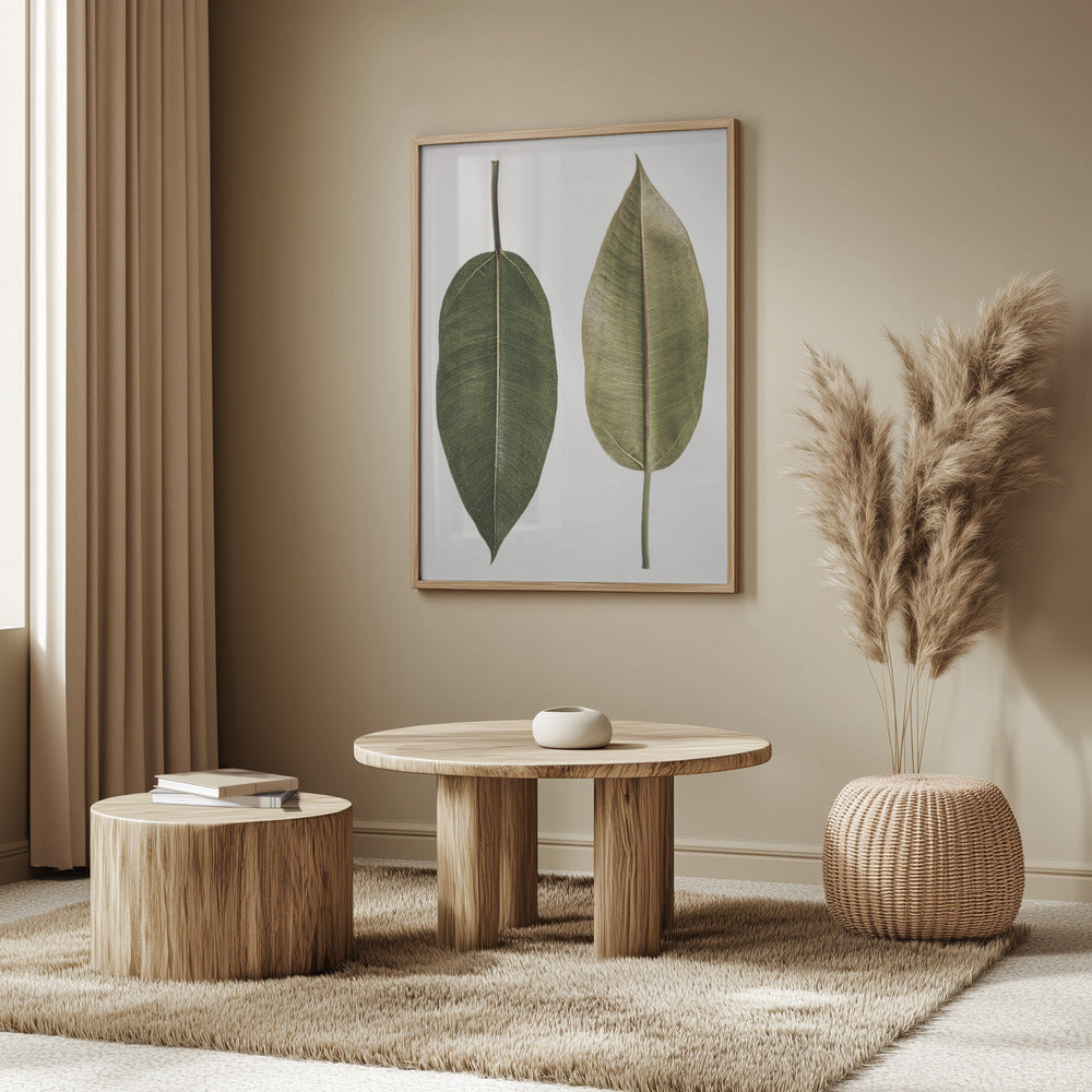 Leaf Study 05 Poster