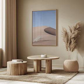 Namib Two Poster