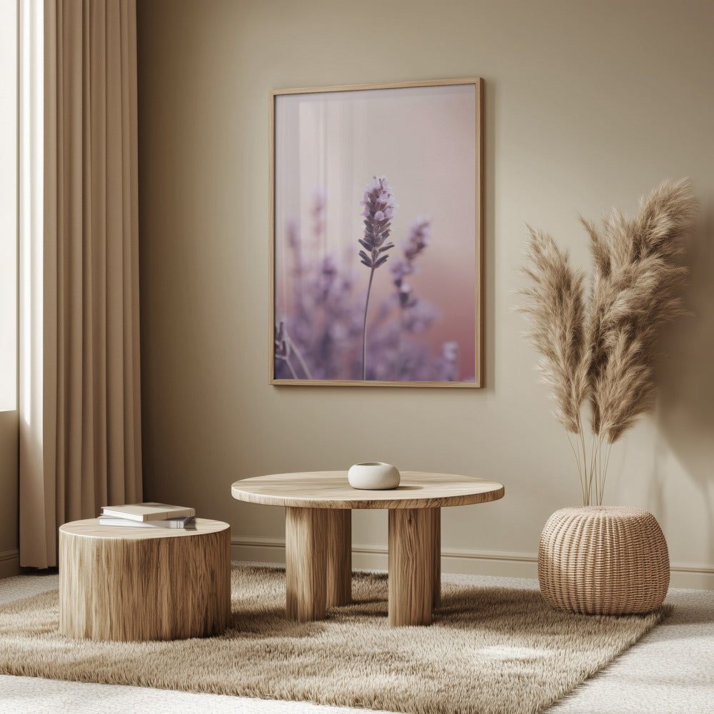 Lavender Detail Poster