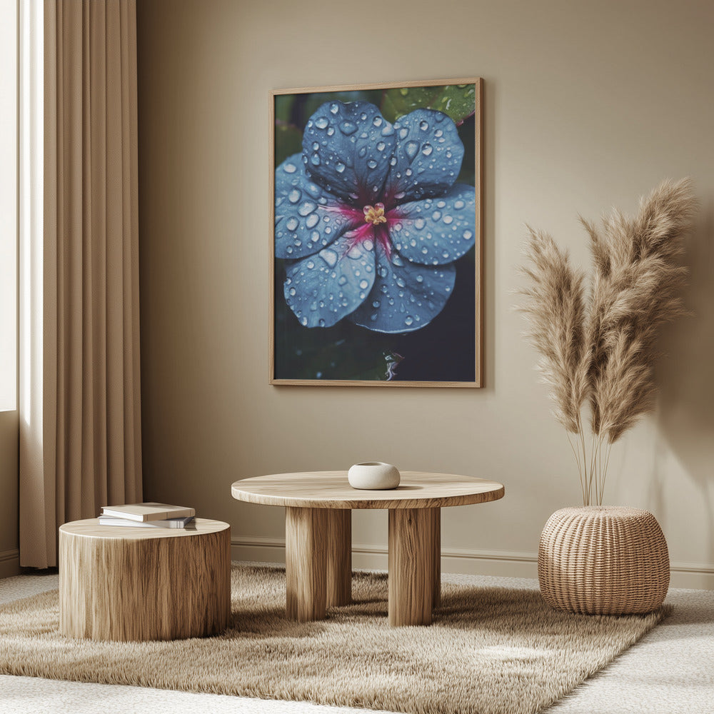 Blue Lagoon Flower Poster