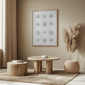 Twelve geometric snowflakes in gray Poster