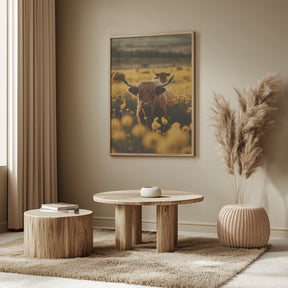 Highland Cows In Flower Field Poster