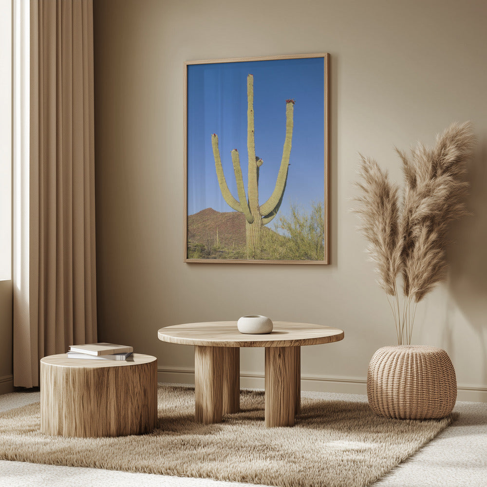 SAGUARO NATIONAL PARK Giant Saguaro Poster