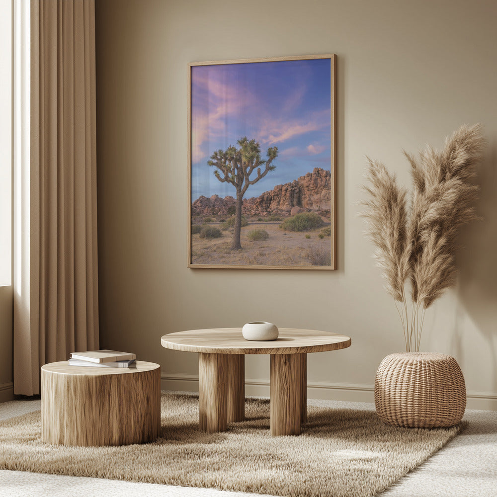 Joshua Tree Evening Atmosphere Poster