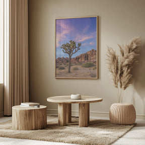 Joshua Tree Evening Atmosphere Poster