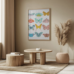 Butterfly Poster