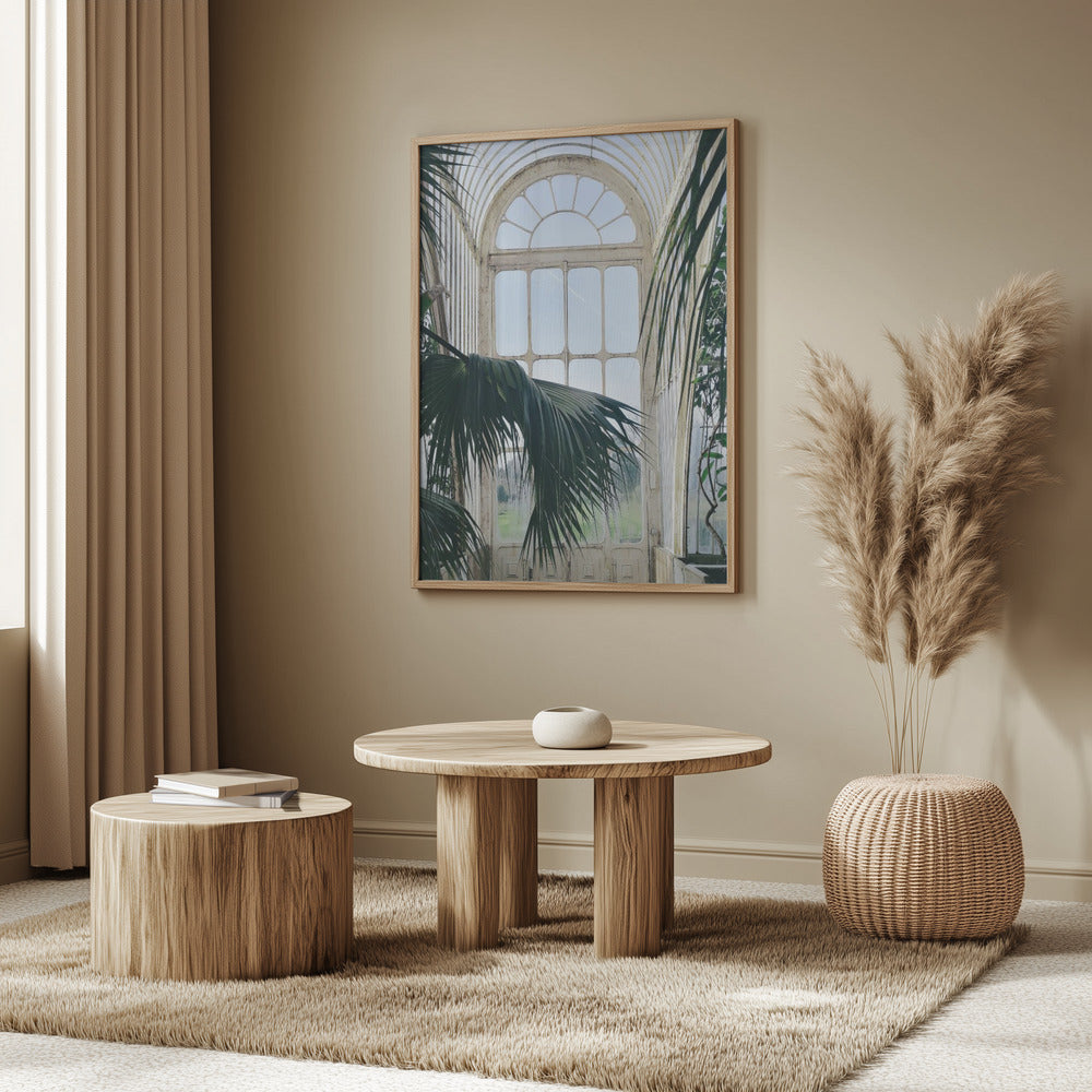 Palm House Windows Poster