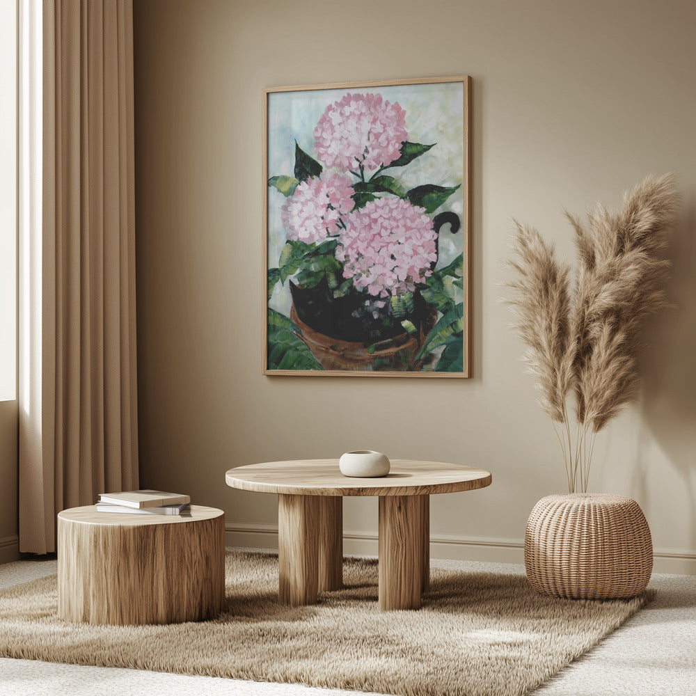 Potted pink hydrangeas Poster