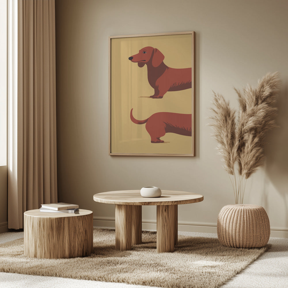 Dachshund Poster