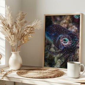 Baby cuttlefish Poster